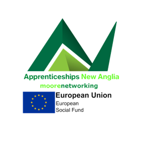 Apprenticeships New Anglia